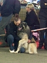 Pause calin 5307